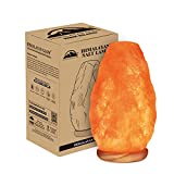 WBM LLC 1001 Natural Salt lamp, 5 lbs, Orange