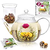 Teabloom Stovetop & Microwave Safe Glass Teapot (40 OZ / 1.2 L) with Removable Loose Tea Glass Infuser – Includes 2 Blooming Teas – 2-in-1 Tea Kettle and Tea Maker (Holds 4-5 Cups)