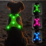Flashseen LED Dog Harness, Lighted Up USB Rechargeable Pet Harness, Illuminated Reflective Glowing Dog Vest Adjustable Soft Padded No-Pull Suit for Small, Medium, Large Dogs (Green, M)
