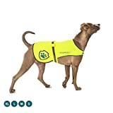 Pet & Protect Premium Dog Reflective Vest (Neon) High-Visibility Safety | Walking, Jogging, Training | Sizes to fit Small, Medium, Large, Extra-Large Breeds 16-130 lbs. (Large)
