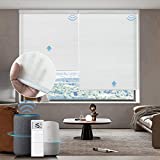 Graywind Motorized Light Filtering Shades Compatible with Alexa Google Rechargeable Remote Control Smart Blinds Automatic Window Shade with Valance for Home Office, Custom Size (Jacquard White)
