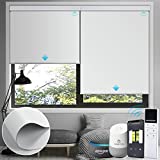 ACMEART Motorized Window Shades USB Rechargeable,Motorized Roller Shades Set with Remote Control and Motor Customize Width 21''-89'',Smart Blinds Blackout for Window Work with Solar Panels