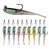 Fishing Lures for Bass, Soft Lure Swimbaits with Hooks, Silicone Artificial Fishing Bait for Saltwater Freshwater Fishing Jigs (10pcs Set)