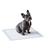 Amazon Basics Dog and Puppy Pads, Leak-proof 5-Layer Pee Pads with Quick-dry Surface for Potty Training, Regular (22 x 22 Inches) - Pack of 50