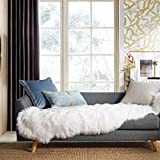 Ashler Ultra Soft Faux Sheepskin Fur Rug White Fluffy Area Rug Shag Rug Carpets for Bedroom Living Room, 2 x 6 Feet
