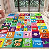PartyKindom Kids Play Rug Mat Playmat with Non-Slip Design Playtime Collection ABC, Shape, Season, Month, Opposite and Animal Educational Area Rug for Children Kids Bedroom Playroom (78.7 x 59 inch)