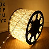 100 Feet 720 LED Rope Lights,2-Wire Low Voltage Waterproof Rope Lights Outdoor ,Indoor Background Lighting Idear for Trees,Bridges,Eaves,Pool,Wedding Use(Warm White)