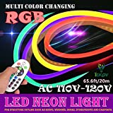 LED NEON Light, IEKOV™ AC 110-120V Flexible RGB LED Neon Light Strip, 60 LEDs/M, Waterproof, Multi Color Changing 5050 SMD LED Rope Light + Remote Controller for Party Decoration (65.6ft/ 20m)