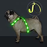 KOSKILL Light Up Dog Harness for Small Dogs Less Than 20lbs ,Neoprene Padded LED Dog Harness Rechargeable,Lighted Dog Harness No Pull No Choke,Glow in The Dark Dog Harness for Night Walking