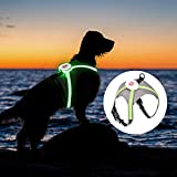 LED Dog Harness Vest,Light up Dog Harness,Reflective Lighted Dog Harness, Dog Lights for Night Walking Rechargeable Revolutionary Illuminated Waterproof Adjustable Size USB(Green Strap)