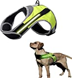Patgoal Dog Vest Harnesses LED, Dog Leash Chest Strap LED, Multi Color LED Reflective Comfortable Padded Adjustable Straps, Lightweight Dog Safety Vest LED, for Night & Morning Walking & Running