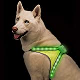 Blazin' Safety LED Lighted Dog Harness | 8 Colors Plus 6 Flashing Modes Reflective Light Vest | USB Rechargeable, Rainproof, Lightweight, Adjustable Sizing, Up to 15 Hour Runtime (Small)