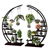 GDLF 5 Tier Metal Plant Stand Creative Half Moon Shape Ladder Flower Pot Stand Rack for Home Patio Lawn Garden Balcony Holder Black (2 Pack)