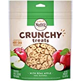 NUTRO Small Crunchy Natural Dog Treats with Real Apple, 16 oz. Bag