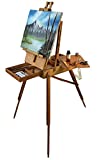 Artist Quality French Easel - Portable Art Easel with Storage Sketch Box, French Style Adjustable Painting Easel with Wooden Pallete & Shoulder Strap for Painting and Drawing