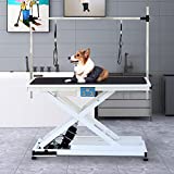 SoarFlash 49.6” Electric Lift Pet Dog Grooming Table,Heavy Duty Electric Grooming Table for Dogs&Cats,Heavy Duty Height Adjustable with Overhead Arm, Clamps, Two Grooming Noose