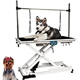 ENWEI Electric Pet Grooming Table with Powerful Motor Deluxe Heavy Duty Hydraulic for Large Dogs, Anti-Skid Rubber Desktop Adjustable H-Shape Arm, Maximum Capacity Up to 220 LBS 49.6inch