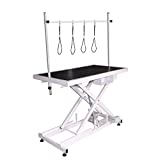 PAMPELLYA Dog Grooming Table w/Adjustable Arm, 48 Inch Heavy Duty Electric Z-Lift Grooming Table for Dogs&Cats, Maximum Capacity Up to 330/220lbs (48-inch, Black)