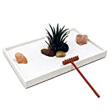 Nature's Mark Mini Zen Garden Kit for Desk with Rake, White Sand, White Rectangle Base, Air Plant, Salt Rocks and River Rocks (8Lx5W W)