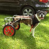 Best Friend Mobility Large Dog Wheelchair