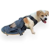 derYEP Pet Scooter Wheelchair for Rear Legs paralyzed Dog Protects Chest and Limbs