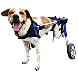 Walkin' Wheels Dog Wheelchair - for Medium Dogs 26-49 Pounds - Veterinarian Approved - Dog Wheelchair for Back Legs