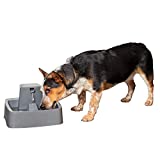 PetSafe Drinkwell 1 Gallon (128 Ounce) Medium Pet Fountain - Cat or Medium Breed Dog Water Fountain - Dishwasher Safe Filtered Water Dispenser with Flow Control - Filters Included - Easy to Clean