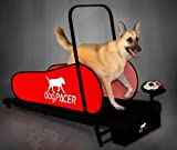 dogPACER 91641 LF 3.1 Full Size Dog Pacer Treadmill, Black and Red