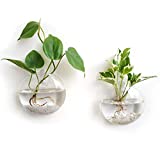 Mkono Wall Hanging Glass Terrariums Planter Oblate Flower Vase for Hydroponics Plants, Home Office Living Room Decor, Set of 2