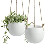 Ceramic Hanging Planters Plant Pots - POTEY 056701 4.7 Inch Indoor Hanging Pots Round Plant Holder Home Decor with Jute Rope for Succulents Herbs Ivy Ferns Crawling Plants Small Plants(Set of 2)
