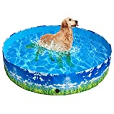 BINGPET Foldable Dog Swimming Pool - Outdoor Portable PP Pet Puppy Collapsible Pool Bathing Tub for Dogs and Kids, Large for Whole Family