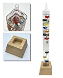 Glassic Gifts Square Tube Galileo Thermometer with Wooden Base (25' Tall)