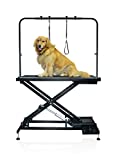 SHELANDY Pet Dog Grooming Table Electric & Heavy Duty.