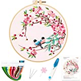 Embroidery Starter Kit with Birds Pattern and Instructions, Embroidery kit for Beginners, Cross Stitch Set, Full Range of Stamped Embroidery Kits (Birds and Flowers)