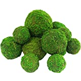 Moss Ball Preserved Natural Decorative Moss Ball Hanging Balls Table (Green 3.2 inch 6pcs)