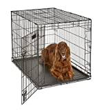 Large Dog Crate MidWest ICrate Folding Metal Dog Crate Divider Panel, Floor Protecting Feet Large Dog