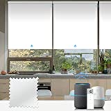 Graywind Motorized Roller Shade Blinds 100% Blackout Shades Cordless Waterproof Remote Control Window Automated Blinds with Valance Custom Size for Smart Home and Office, White