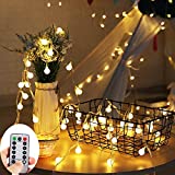 ZOUTOG Battery String Lights, 33ft/10m 100 LED Bulb Warm White Battery Operated Globe String Lights with Remote Controller, Decorative Timer Fairy Light for Christmas/Wedding/Party Indoor and Outdoor