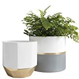 Large White Ceramic Plant Pots - Garden Planters 10 + 8.1 Inch Indoor Flower Pots, Plant Containers with Gold and Grey Detailing