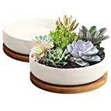 Succulent Pots, ZOUTOG 6 inch White Ceramic Flower Planter Pot with Bamboo Tray, Pack of 2 - Plants Not Included