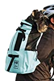K9 Sport Sack | Dog Carrier Adjustable Backpack (Small, Air 2 - Summer Mint)