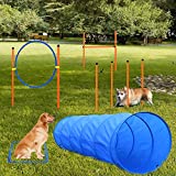 XiaZ Dog Agility Equipments, Obstacle Courses Training Starter Kit, Pet Outdoor Games for Backyard Includes Dog Tunnel, Jumping Ring, High Jumps, 4 Pcs Weave Poles, Pause Box with Carrying Case