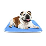 TheGreenPetShop Dog Cooling Mat – Gel Self Cooling Mat for Dogs – The Must-Have Cool Pet Pad for Hot Summer Weather – Patented Pressure Activated Pet Cooling Pad, No Water or Electricity Needed