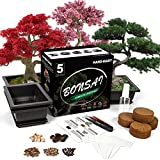 Bonsai Tree Seed Starter Kit - 5 Bonsai Seeds with Complete Growing Kit - Bonsai Pot, Soil, Pruner, Watering, Markers & Guide - Garden Gift for Women & Men