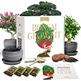 Bonsai Tree Kit – Plant 4 Species of Bonsai Tree w/ Our All-in-One Plant Kit: Bonsai Pots & Peat Pellets Including a Bonus in-Depth Grow Guide by Home Grown | Great Gardening Gifts for Women and Men