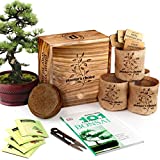 Bonsai Starter Kit - DIY Bonsai Growing Gift - Garden Hobbies for Adults, Women & Men : 4 Unique Tree Seeds, Soil, Pots, Pruning Shears, Plant Markers + Wood Gift Box