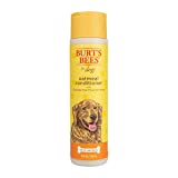 Burt's Bees for Dogs Natural Oatmeal Conditioner with Colloidal Oat Flour & Honey | Dog Oatmeal Shampoo | Cruelty Free, Sulfate & Paraben Free, pH Balanced for Dogs - Made in the USA | 10 Oz