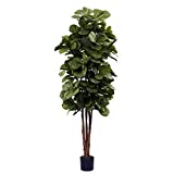 Nearly Natural 6ft Fiddle Leaf Fig Artificial Trees, 72in, Green