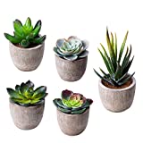 Jelofly Artificial Succulent Plants Potted, Mini Fake Succulents with Pulp Pot, Decorative Faux Succulents for Home Office Desk, Floating Shelves, Window, Bookshelf, and Bathroom (Green Grey)