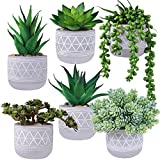 6 Pcs Assorted Small Potted Succulents Plants Artificial Succulents Aloe in Gray Concrete Ceramic Pots Geometric Planters for Party Favor Gift Home Windowsill Table Shelf Indoor Outdoor Greenery Decor